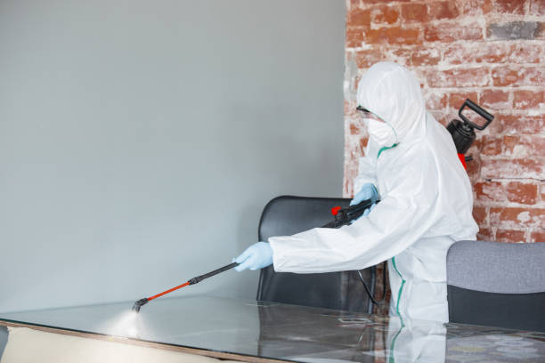 Milwaukee, WI Mold Removal & Remediation Company